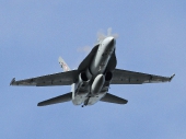 Hornet F/A-18C