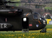Sikorsky CH-53 84+47 des deutschen Heeres