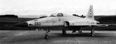 Tiger F-5E J-3007